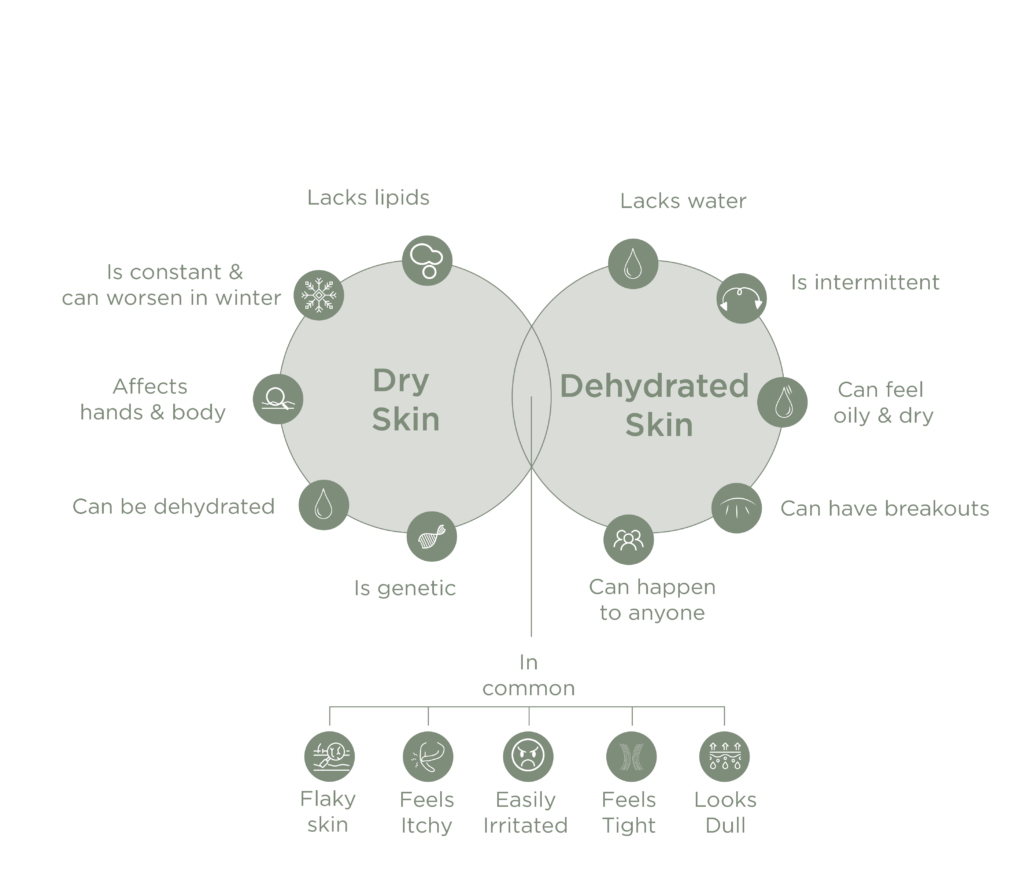 DRY SKIN AND DEHYDRATED SKIN